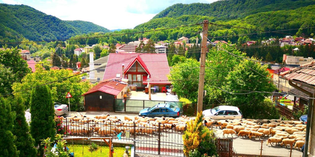 Casa Giulia Hotell Băile Olăneşti Eksteriør bilde