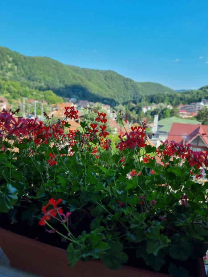 Casa Giulia Hotell Băile Olăneşti Eksteriør bilde